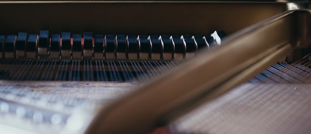 Video Reference: keyboard, piano, musical instrument, electronic device, musical keyboard, pianet, technology