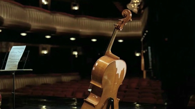 Video Reference: string instrument, musical instrument, string instrument, guitar, bowed string instrument, music, plucked string instruments, musical instrument accessory, double bass, musician, Person