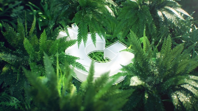 Video Reference: Green, Vegetation, Grass, Tree, Leaf, Plant, Botany, Terrestrial plant, Evergreen, Palm tree