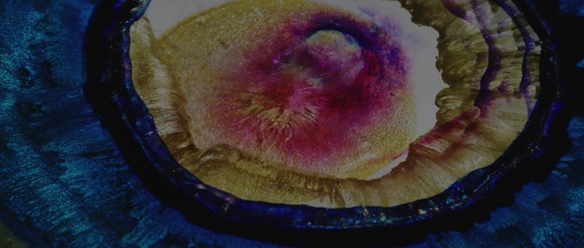 Video Reference: Pink, Petal, Dish, Food, Cuisine, Person