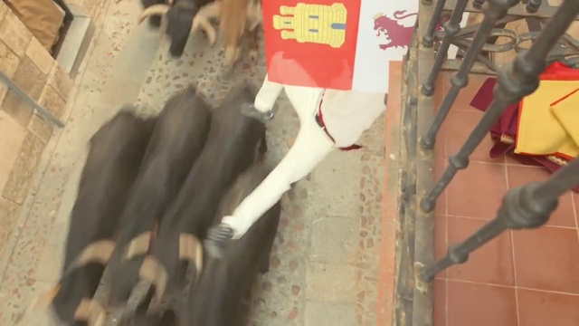 Video Reference: Wood, Art