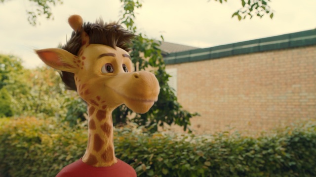 Video Reference: giraffe, giraffidae, grass, tree, snout, horse like mammal, livestock, wildlife