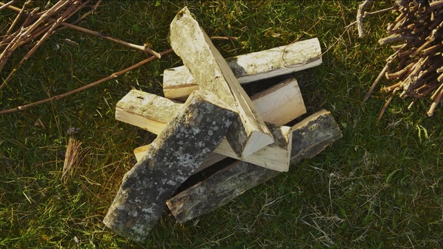 Video Reference: wood, grass, tree, wood chopping, trunk, Person