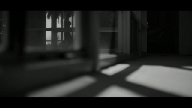 Video Reference: Black, White, Photograph, Monochrome, Black-and-white, Monochrome photography, Darkness, Light, Snapshot, Still life photography