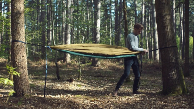 Video Reference: hammock, nature reserve, tree, woodland, table, forest, plant, wood, jungle, furniture, Person