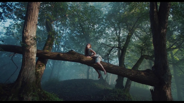 Video Reference: Tree, Nature, Natural environment, Forest, Jungle, Branch, Wilderness, Woodland, Old-growth forest, Woody plant, Person, Outdoor, Man, Park, Large, Sitting, Standing, Bird, Perched, Field, Water, Young, Grassy, Giraffe, Enclosure, White, Clothing, Plant