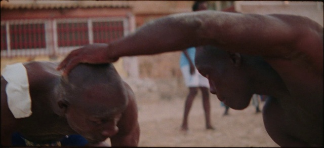 Video Reference: Hand