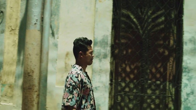 Video Reference: Adaptation, Tree, Visual arts, Portrait