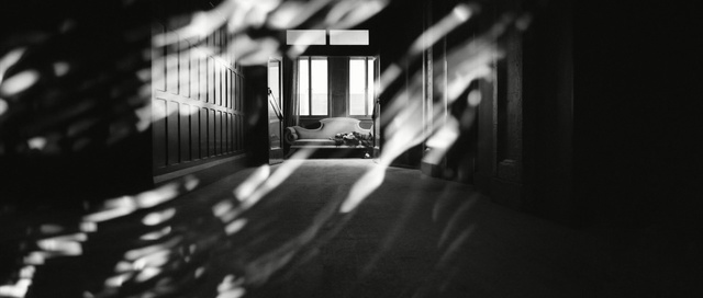 Video Reference: white, black, photograph, black and white, darkness, monochrome photography, light, photography, snapshot, monochrome