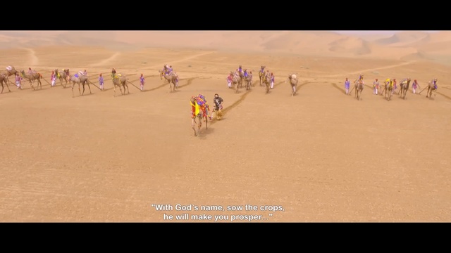 Video Reference: desert, erg, sahara, camel, ecosystem, sand, landscape, aeolian landform, camel like mammal, ecoregion