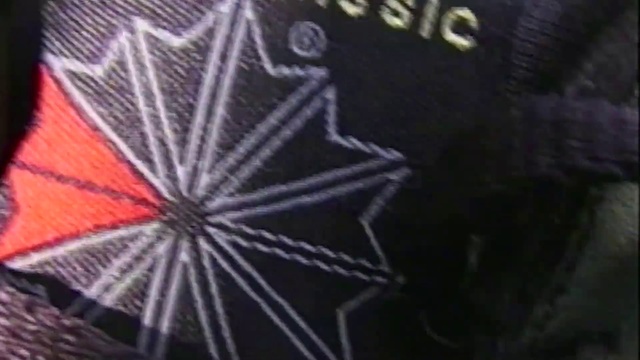 Video Reference: Plant, Illustration