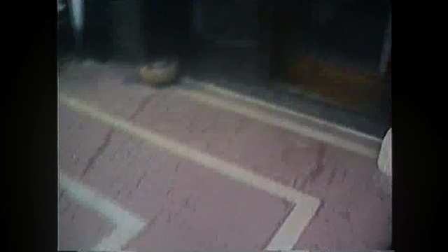 Video Reference: Floor, Black, Light, Flooring, Snapshot, Tile, Hardwood, Line, Wood, Darkness