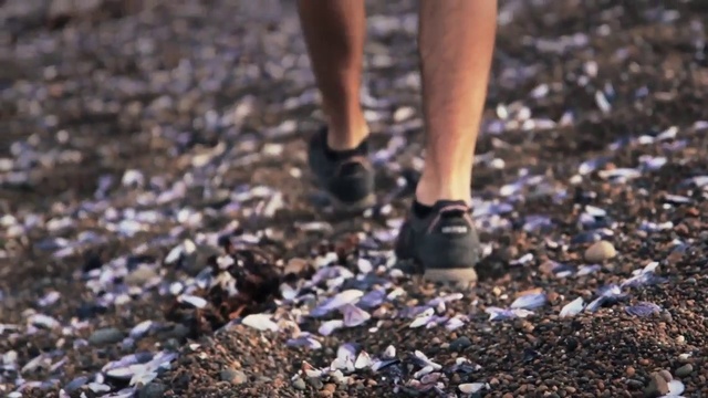 Video Reference: Leg, Footwear, Soil, Gravel, Shoe, Pebble, Human leg, Rock, Photography, Walking