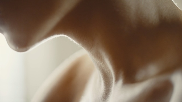 Video Reference: White, Close-up, Brown, Hand, Textile, Macro photography, Photography, Silk