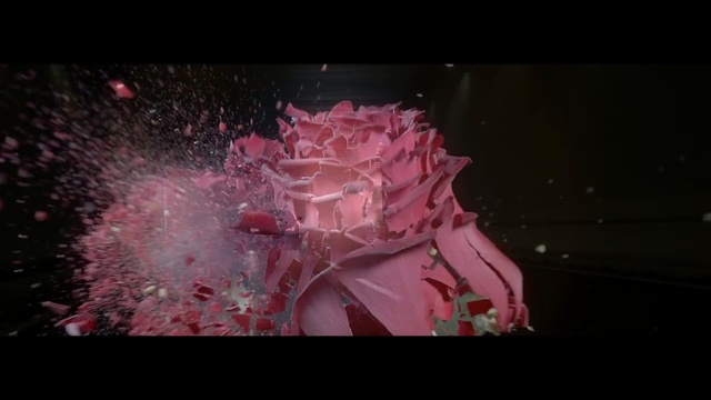 Video Reference: pink, darkness, petal, computer wallpaper, screenshot, space, event, midnight, flower, smoke