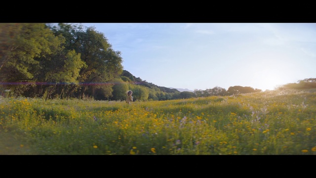 Video Reference: Nature, Grassland, Natural landscape, Natural environment, Meadow, Vegetation, Prairie, Pasture, Field, Yellow