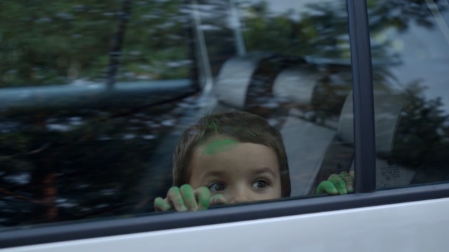 Video Reference: Tree, Auto part, Glass, Windshield, Automotive exterior, Window, Automotive window part, Vehicle, Rear-view mirror