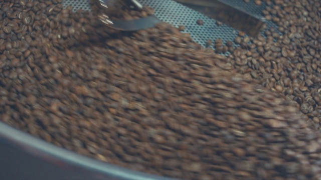 Video Reference: Plant