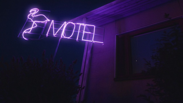Video Reference: Purple, Violet, Light, Neon, Visual effect lighting, Neon sign, Lighting, Text, Font, Darkness