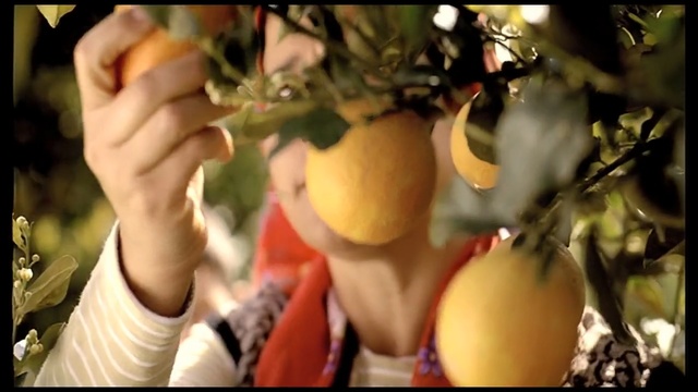 Video Reference: Fruit, Plant, Food, Apple, Tree, Flower, Fruit tree, Local food, Produce, Citrus