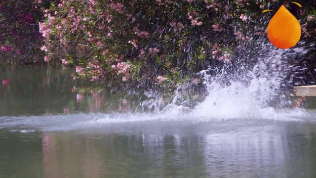 Video Reference: Water, Water resources, Watercourse, Pond, Bank, Tree, Reflection, Plant, Landscape, Leisure