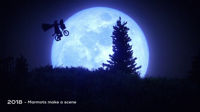 Video Reference: Moonlight, Sky, Light, Moon, Atmosphere, Celestial event, Atmospheric phenomenon, Midnight, Tree, Night, Dark, Looking, Sitting, Black, Flying, Lit, Screen, Air, Large, Television, Bird, Standing, Blue, White, Room, Red, Text, Christmas tree, Night sky