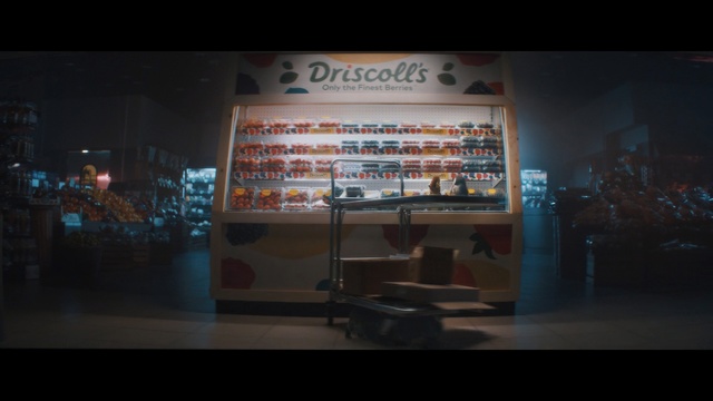 Video Reference: Electronics, Text, Display case, Snapshot, Retail, Glass, Darkness, Architecture, Display device, Building