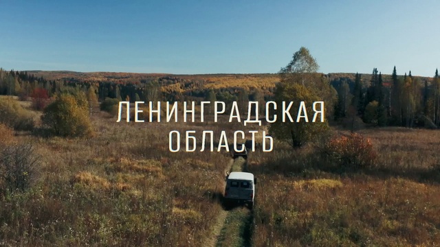 Video Reference: Sky, Plant, Natural landscape, Vegetation, Land lot, Tree, Grass, Grassland, Plain, Horizon