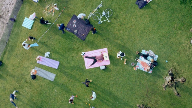 Video Reference: aerial photography, grass, games, lawn, biome, landscape, grassland, plain, meadow, recreation