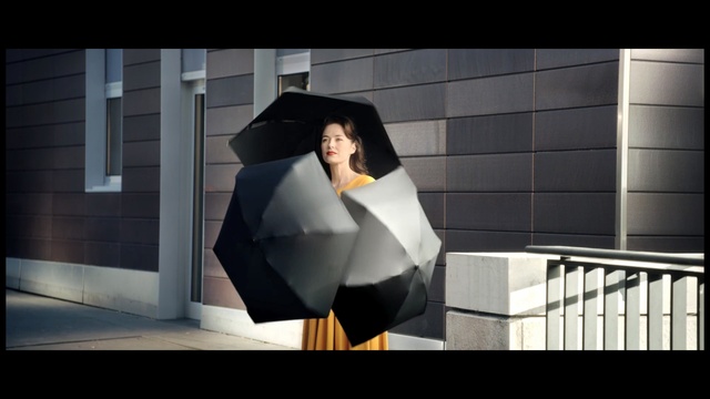 Video Reference: umbrella, canopy, shelter, protective covering, covering, Person