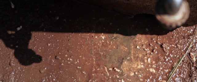 Video Reference: Soil, Brown