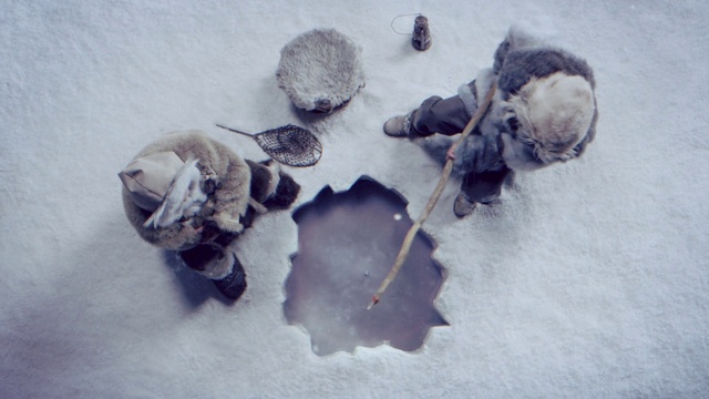 Video Reference: Plant, Flower