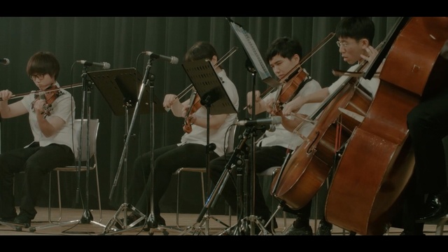 Video Reference: string instrument, musician, orchestra, music, musical instrument, double bass, bowed string instrument, musical instrument accessory, classical music, violin, Person