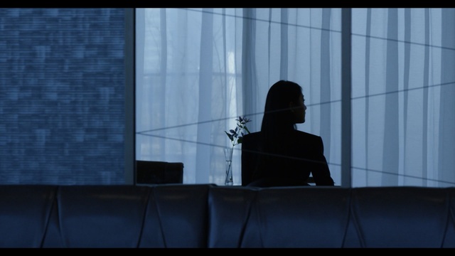 Video Reference: blue, black, sky, light, darkness, architecture, atmosphere, screenshot, shadow, line, Person