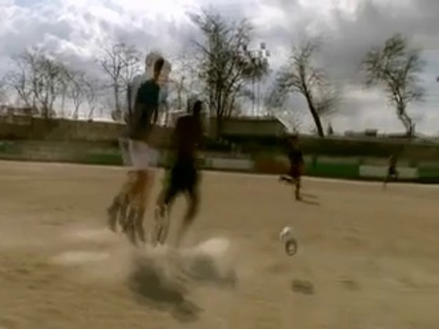 Video Reference: Horse, Tree, Stallion, Mane, Landscape, Recreation, Rein, Mare, Mustang horse, Games