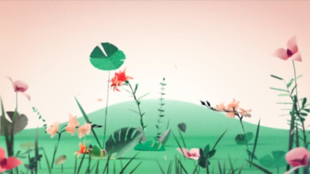 Video Reference: flower, green, ecosystem, flora, leaf, petal, flowering plant, grass, plant, plant stem