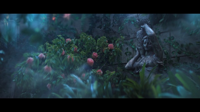 Video Reference: nature, underwater, ecosystem, screenshot, darkness, water, atmosphere, organism, biome, computer wallpaper