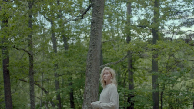 Video Reference: photograph, woodland, tree, green, ecosystem, nature reserve, forest, grove, leaf, plantation, Person