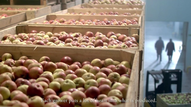 Video Reference: Natural foods, Local food, Whole food, Food, Fruit, Apple, Plant, Produce, Grocery store, Marketplace, Person