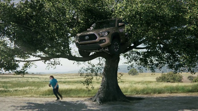 Video Reference: Tree, Vehicle, Car, Woody plant, Off-roading, Off-road vehicle, Plant, Sport utility vehicle
