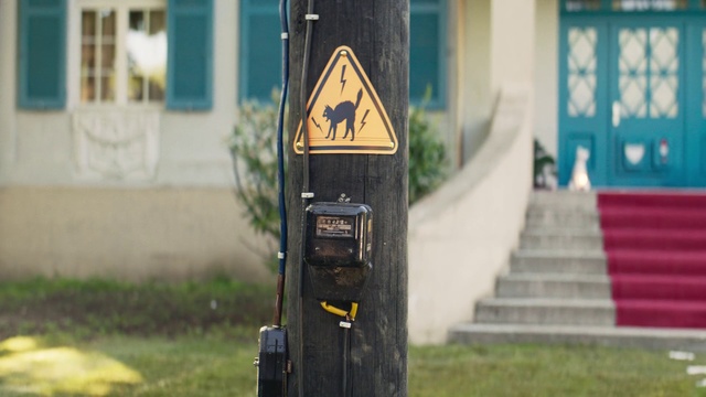 Video Reference: Yellow, Grass, Road, Street, Art