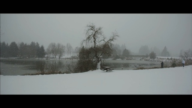 Video Reference: snow, winter, freezing, tree, winter storm, sky, fog, blizzard, frost, mist, Person