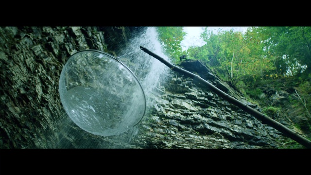 Video Reference: Nature, Natural environment, Vegetation, Forest, Tree, Biome, Jungle, Organism, Adaptation, Sunlight