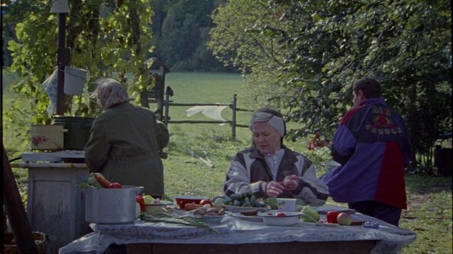 Video Reference: Picnic, Recreation, Meal, Event, Tree, Table, Adaptation, Lunch, Landscape