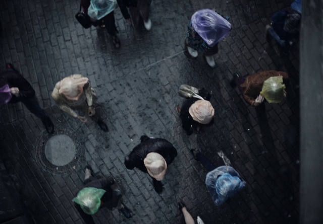 Video Reference: Organism