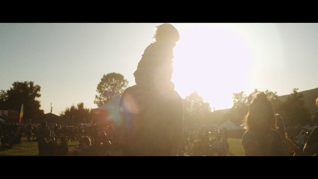 Video Reference: photograph, sky, sunlight, light, morning, sun, photography, fun, backlighting, tree