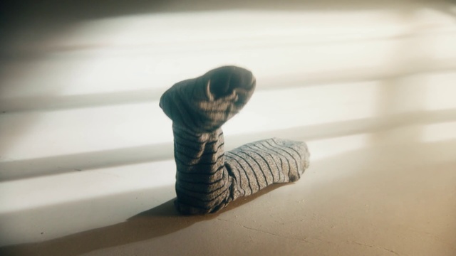 Video Reference: Sculpture, Reptile, Sitting, White, Water, Standing, Young, Cat, Holding, Teeth, Hat, Man, Laying