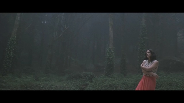 Video Reference: Nature, Photograph, Darkness, Atmospheric phenomenon, Atmosphere, Lady, Natural environment, Morning, Photography, Screenshot