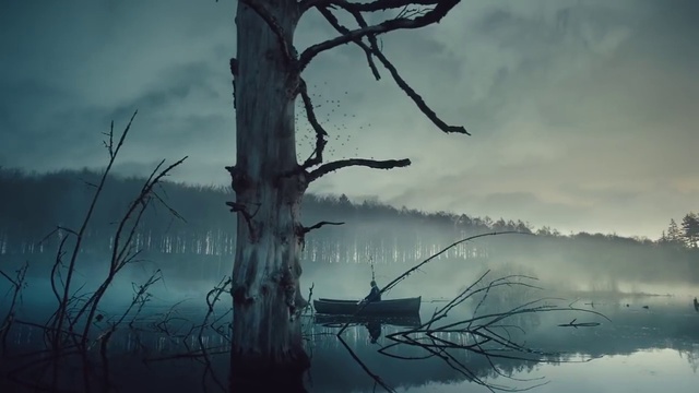 Video Reference: Sky, Nature, Atmospheric phenomenon, Branch, Tree, Atmosphere, Natural landscape, Morning, Water, Cloud