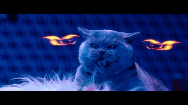Video Reference: Light, Snout, Electric blue, Darkness, Felidae, Whiskers, Cat, Fictional character, Screenshot